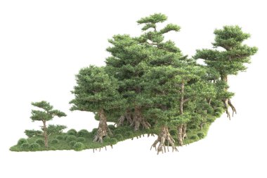 3D ağaçlar ve bahçe süslemeleri beyaz arka planda