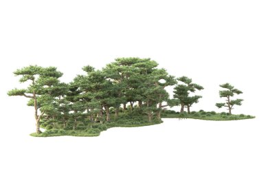 3D ağaçlar ve bahçe süslemeleri beyaz arka planda