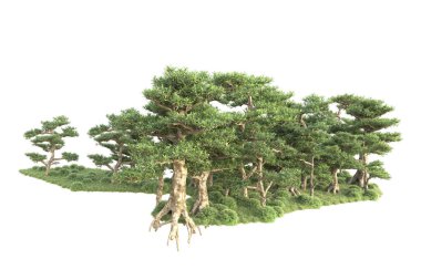 3D ağaçlar ve bahçe süslemeleri beyaz arka planda