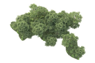 3D ağaçlar ve bahçe süslemeleri beyaz arka planda