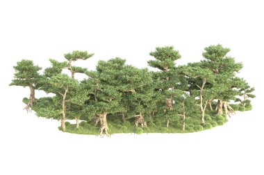 3D ağaçlar ve bahçe süslemeleri beyaz arka planda