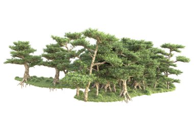 3D ağaçlar ve bahçe süslemeleri beyaz arka planda