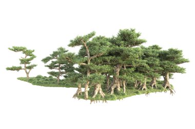 3D ağaçlar ve bahçe süslemeleri beyaz arka planda