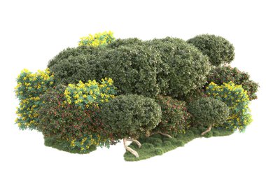 3D ağaçlar ve bahçe süslemeleri beyaz arka planda