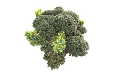 3D ağaçlar ve bahçe süslemeleri beyaz arka planda