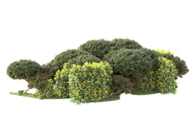 3D ağaçlar ve bahçe süslemeleri beyaz arka planda