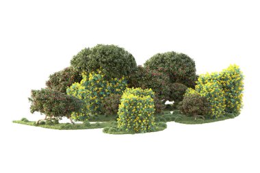 3D ağaçlar ve bahçe süslemeleri beyaz arka planda