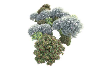 3D ağaçlar ve bahçe süslemeleri beyaz arka planda