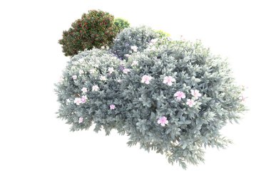 3D ağaçlar ve bahçe süslemeleri beyaz arka planda