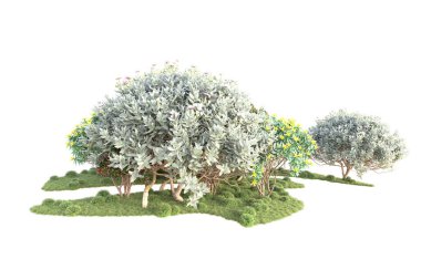 3D ağaçlar ve bahçe süslemeleri beyaz arka planda