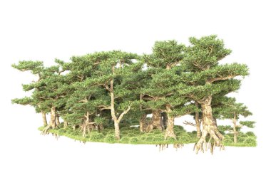 3D ağaçlar ve bahçe süslemeleri beyaz arka planda