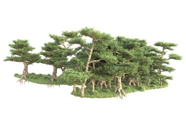 3D ağaçlar ve bahçe süslemeleri beyaz arka planda