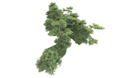 3D ağaçlar ve bahçe süslemeleri beyaz arka planda