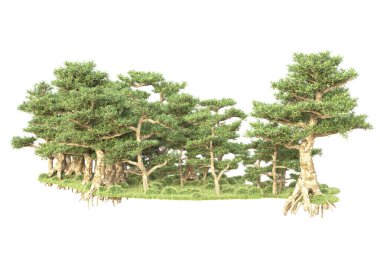 3D ağaçlar ve bahçe süslemeleri beyaz arka planda