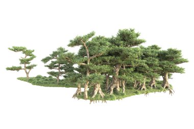 3D ağaçlar ve bahçe süslemeleri beyaz arka planda