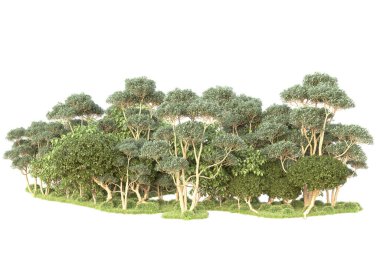 3D ağaçlar ve bahçe süslemeleri beyaz arka planda