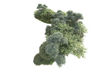 3D ağaçlar ve bahçe süslemeleri beyaz arka planda