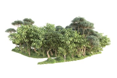 3D ağaçlar ve bahçe süslemeleri beyaz arka planda