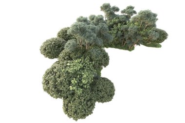 3D ağaçlar ve bahçe süslemeleri beyaz arka planda