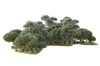 3D ağaçlar ve bahçe süslemeleri beyaz arka planda