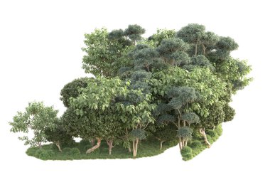 3D ağaçlar ve bahçe süslemeleri beyaz arka planda