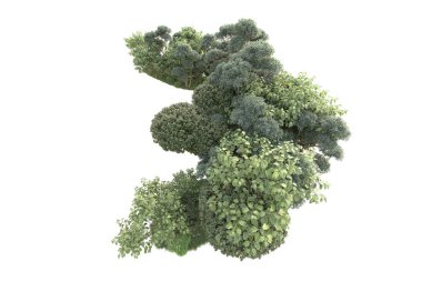 3D ağaçlar ve bahçe süslemeleri beyaz arka planda