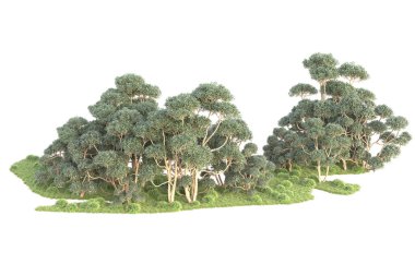 3D ağaçlar ve bahçe süslemeleri beyaz arka planda