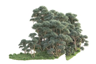 3D ağaçlar ve bahçe süslemeleri beyaz arka planda