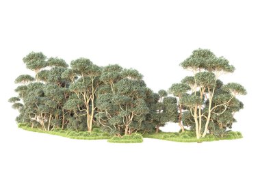 3D ağaçlar ve bahçe süslemeleri beyaz arka planda