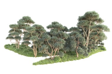 3D ağaçlar ve bahçe süslemeleri beyaz arka planda