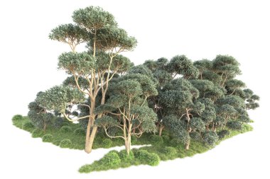 3D ağaçlar ve bahçe süslemeleri beyaz arka planda