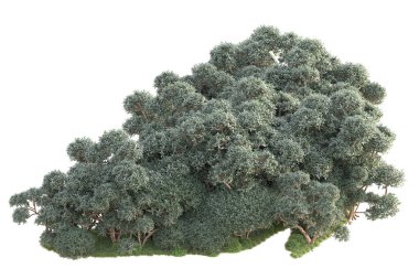 3D ağaçlar ve bahçe süslemeleri beyaz arka planda