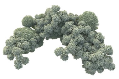 3D ağaçlar ve bahçe süslemeleri beyaz arka planda