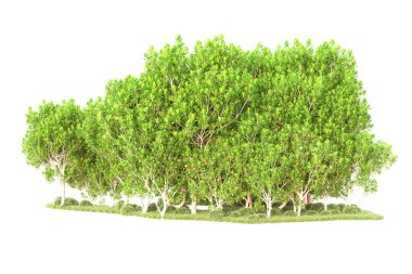 3D ağaçlar ve bahçe süslemeleri beyaz arka planda