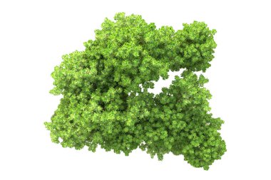 3D ağaçlar ve bahçe süslemeleri beyaz arka planda