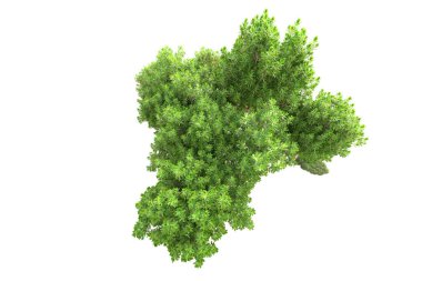 3D ağaçlar ve bahçe süslemeleri beyaz arka planda