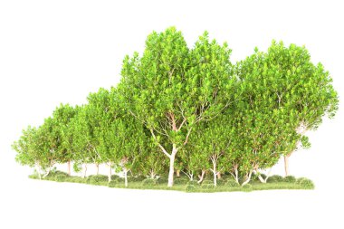 3D ağaçlar ve bahçe süslemeleri beyaz arka planda