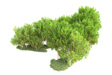 3D ağaçlar ve bahçe süslemeleri beyaz arka planda