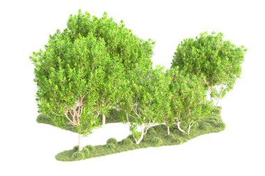 Beyaz arka planda yeşil çalılıklar izole edilmiş. 3d görüntüleme - illüstrasyon 