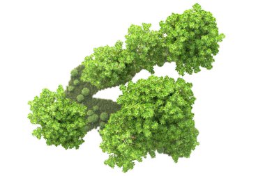 Beyaz arka planda yeşil çalılıklar izole edilmiş. 3d görüntüleme - illüstrasyon 