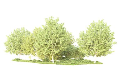 Beyaz arka planda yeşil çalılıklar izole edilmiş. 3d görüntüleme - illüstrasyon 