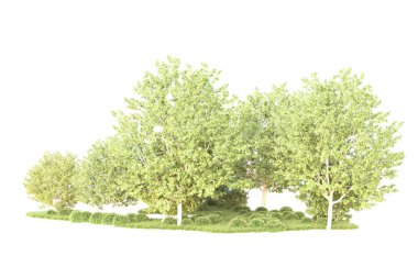 Beyaz arka planda yeşil çalılıklar izole edilmiş. 3d görüntüleme - illüstrasyon 