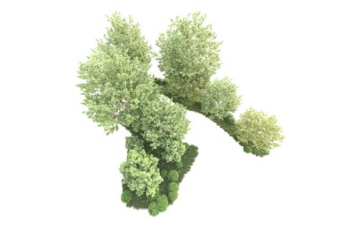 Beyaz arka planda yeşil çalılıklar izole edilmiş. 3d görüntüleme - illüstrasyon 