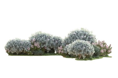 Beyaz arka planda yeşil çalılıklar izole edilmiş. 3d görüntüleme - illüstrasyon 