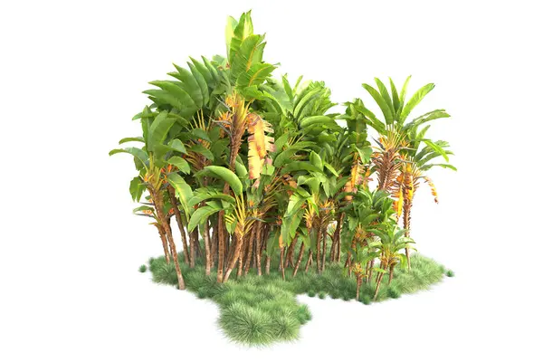 Tropikalny Układ Leśny Odizolowany Tle Renderowanie Ilustracja — Zdjęcie stockowe