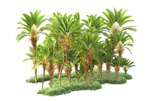背景に隔離された熱帯林の配置 3Dレンダリング イラスト — ストック写真