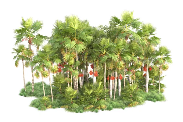 背景孤立的热带森林安排 3D渲染 — 图库照片