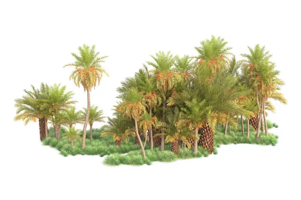 Tropické Lesní Uspořádání Izolované Pozadí Vykreslování Ilustrace — Stock fotografie