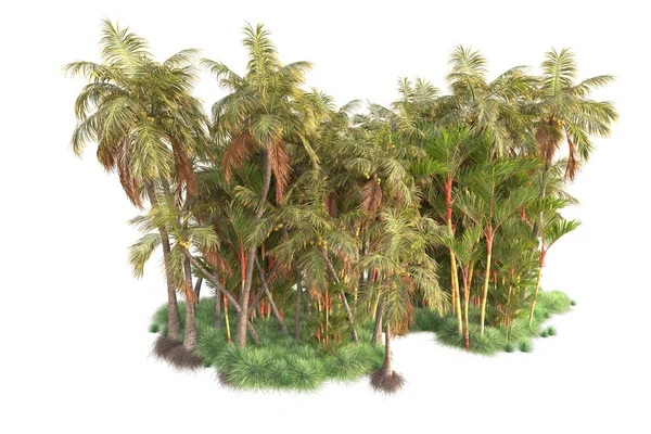 Arka planda izole edilmiş tropik orman düzeni. 3d görüntüleme - illüstrasyon