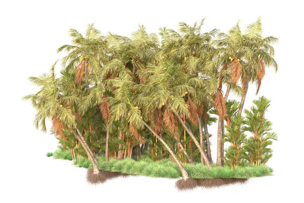 Arranjo Floresta Tropical Isolado Fundo Renderização Ilustração — Fotografia de Stock